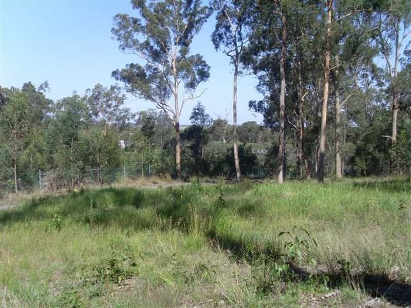 103 Guara Grove, Pimpama QLD 4209