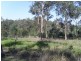 103 Guara Grove, Pimpama QLD 4209