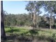 103 Guara Grove, Pimpama QLD 4209