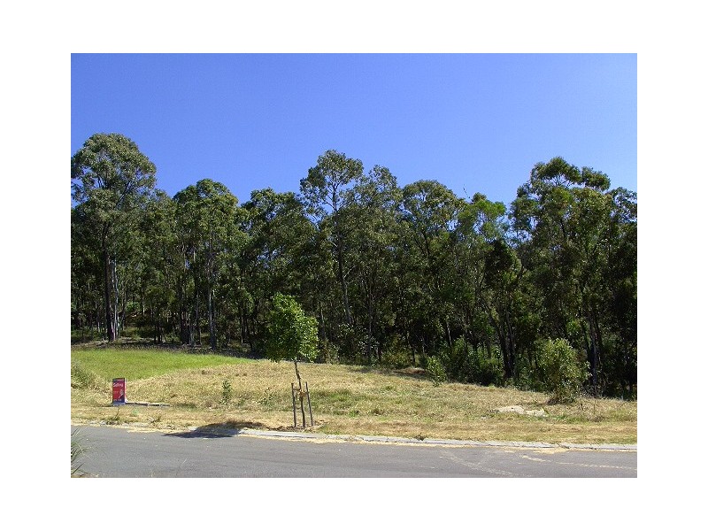 Upper Coomera QLD 4209