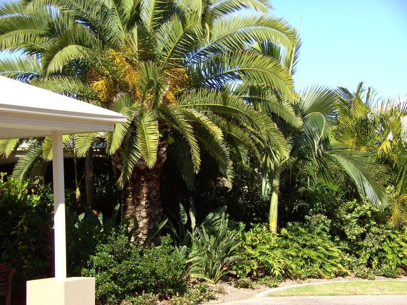 Upper Coomera QLD 4209