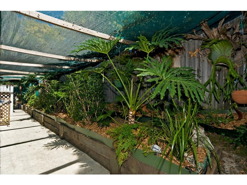 12 Bushgum, Upper Coomera QLD 4209