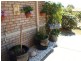 12 Bushgum, Upper Coomera QLD 4209