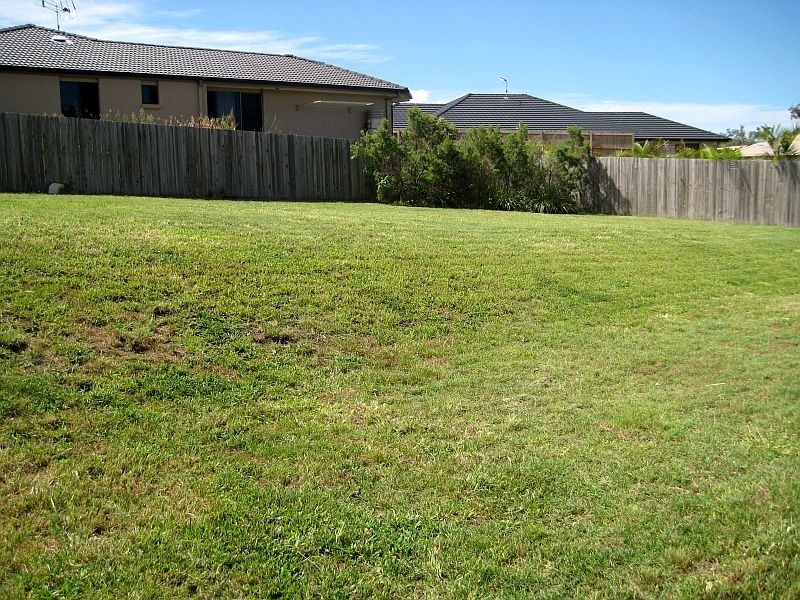 12 Forest Oak Dr., Upper Coomera QLD 4209