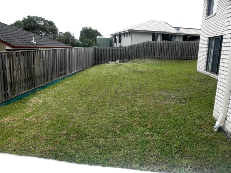 7 Glasswing Dr, Upper Coomera QLD 4209