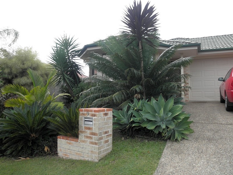 9 Ireland Way, Upper Coomera QLD 4209