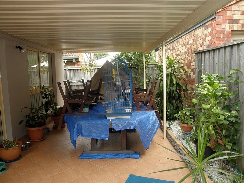 16 Trade Winds Dr, Helensvale QLD 4212