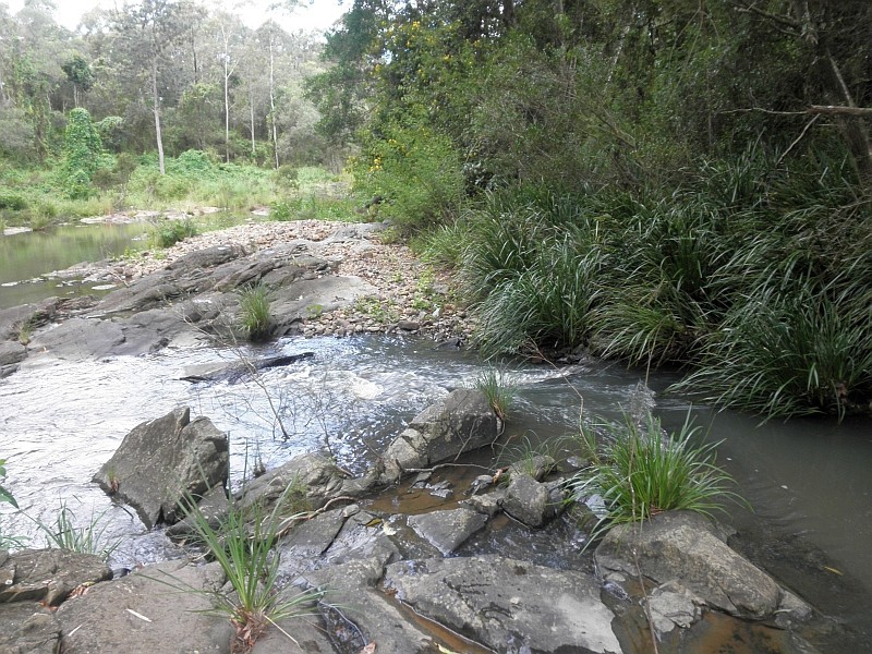 44 Kriedeman Rd, Wongawallan QLD 4210