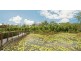 5/17 Park Esp, Coomera QLD 4209