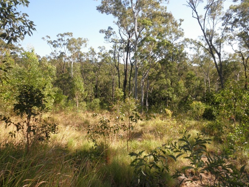 Willow Vale QLD 4209
