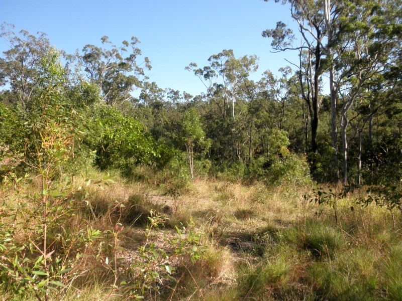 Willow Vale QLD 4209