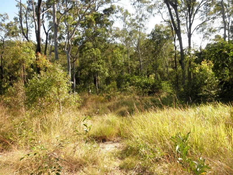 Willow Vale QLD 4209