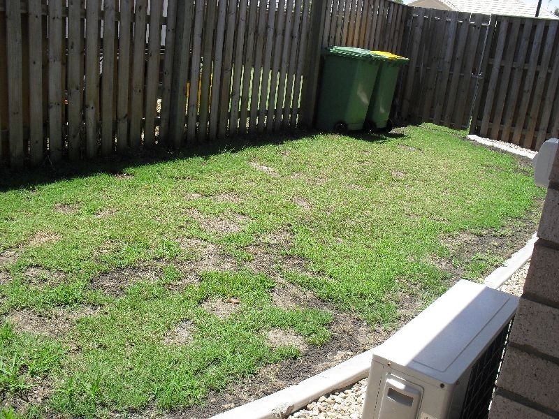 20 Jet St, Upper Coomera QLD 4209