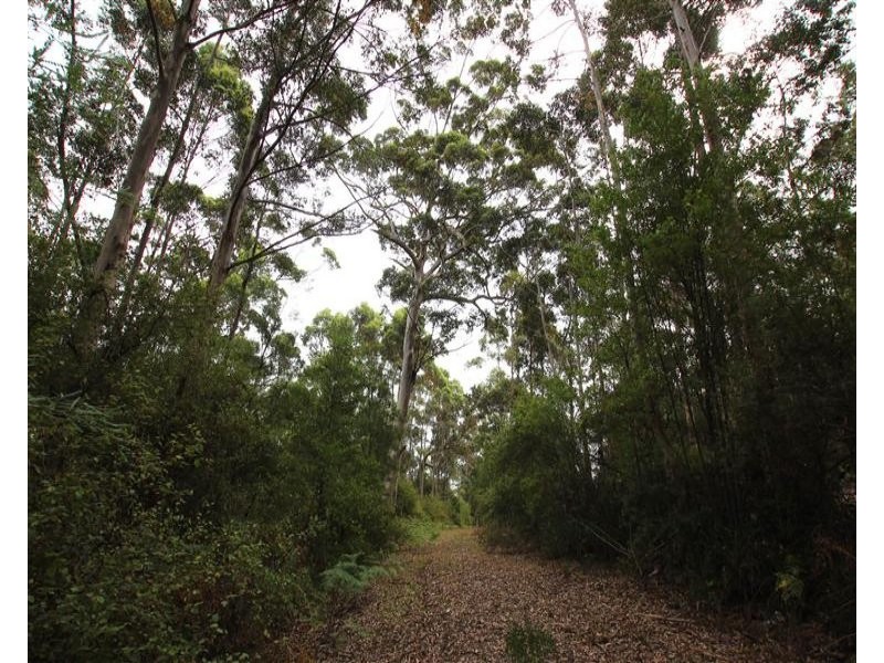 5989 South Coast Highway, Nornalup WA 6333