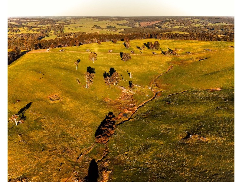 Brockman Highway, Bridgetown WA 6255