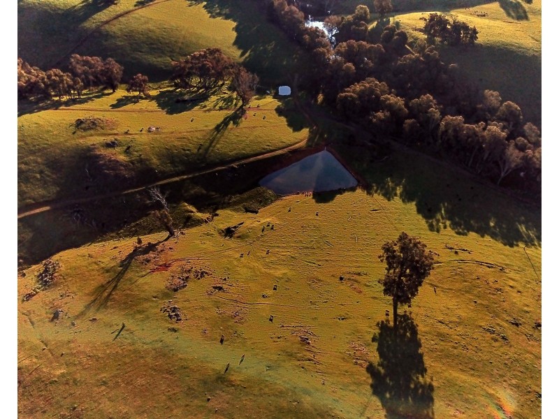 Brockman Highway, Bridgetown WA 6255