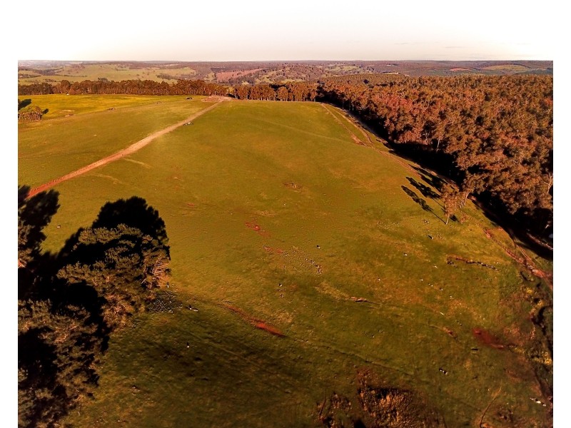 Brockman Highway, Bridgetown WA 6255