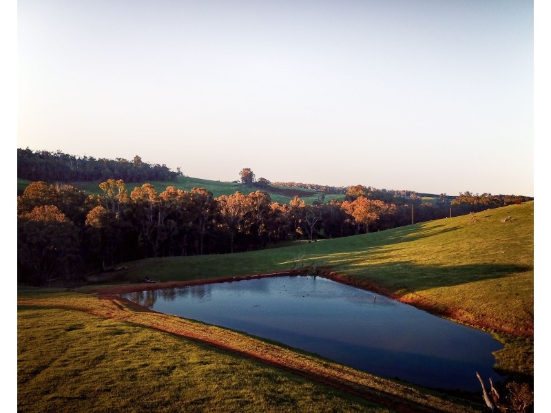 Brockman Highway, Bridgetown WA 6255