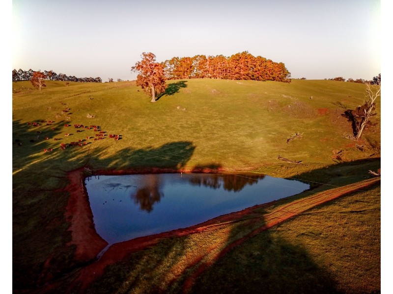 Brockman Highway, Bridgetown WA 6255