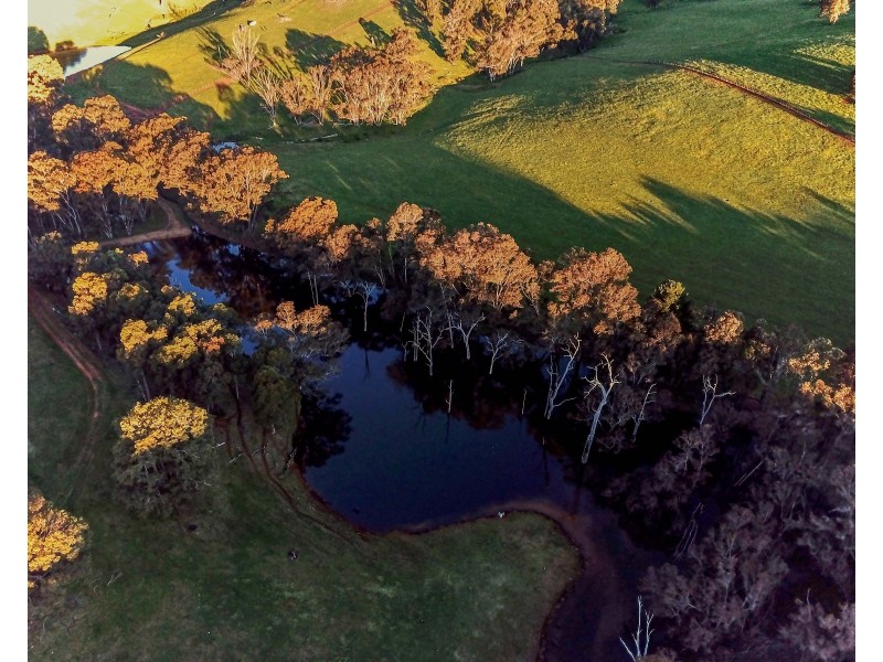 Brockman Highway, Bridgetown WA 6255