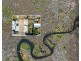 3 Georgina Street, Bayswater WA 6053