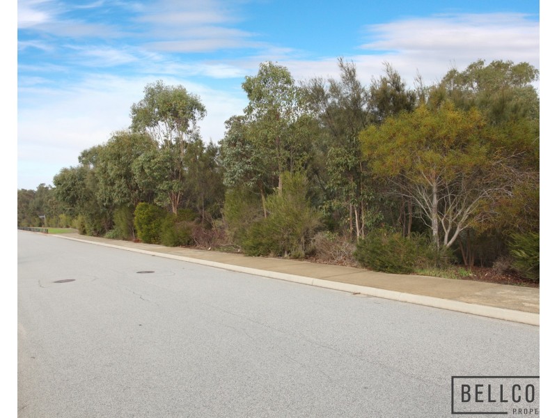 85 Kawana Avenue, Maddington WA 6109