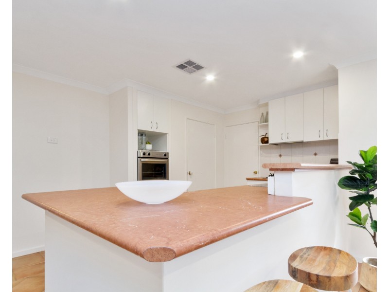 19B Michael Street, Yokine WA 6060