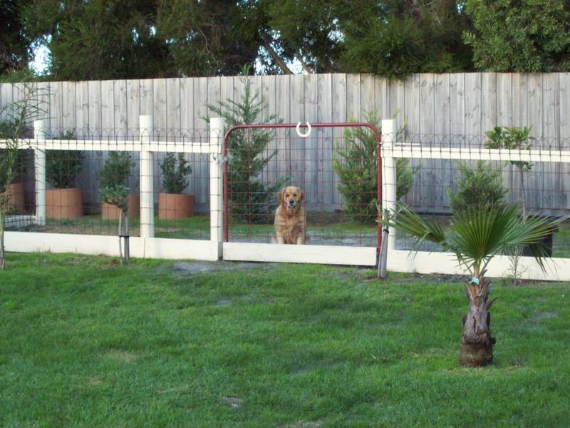 28 Aldershot Road, Langwarrin VIC 3910