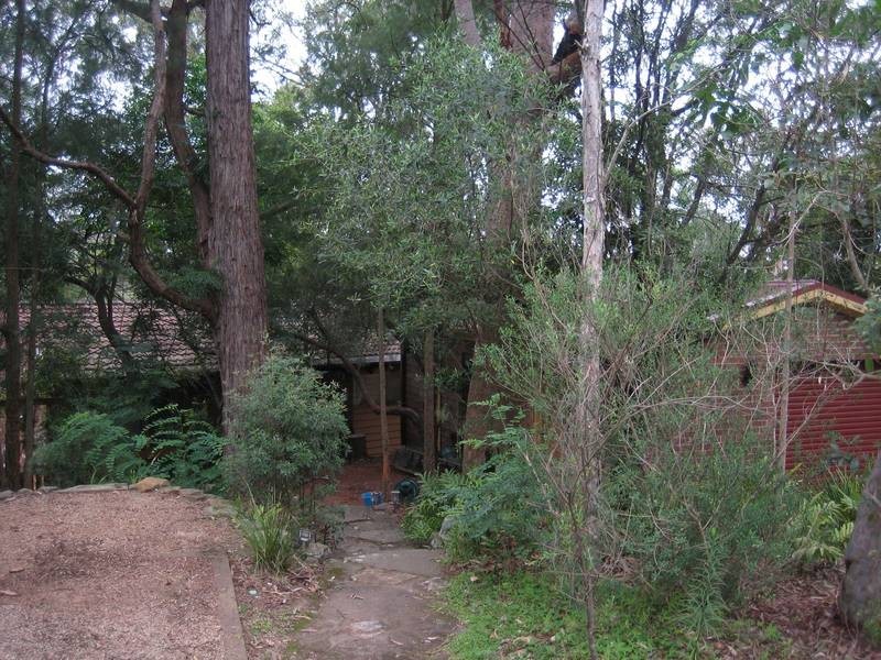 5 Johnson Place, Springwood NSW 2777