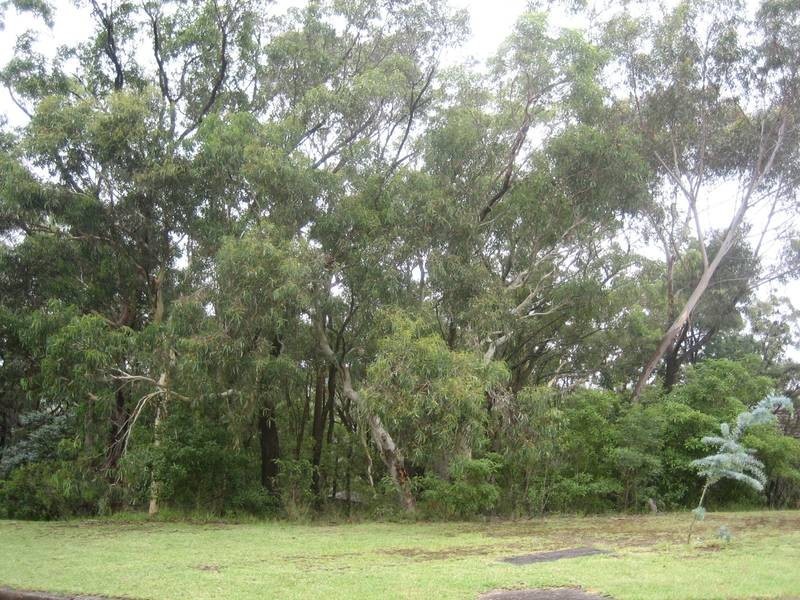 2 careya crescent, Woodford NSW 2778