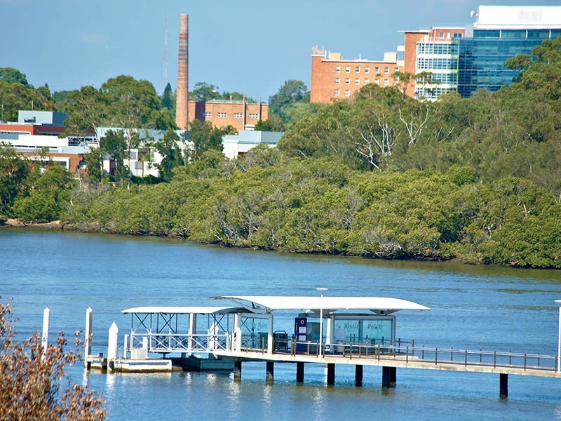 9 Chadwick Street, Putney NSW 2112