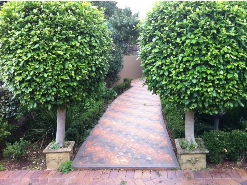 1/143A Agincourt Road, Marsfield NSW 2122