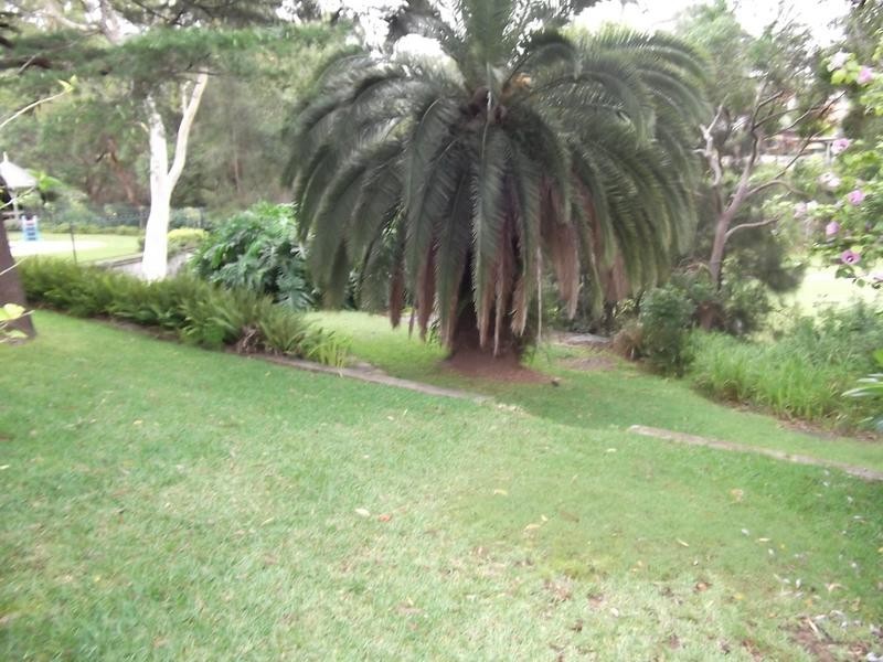 24 Champion Road, Gladesville NSW 2111