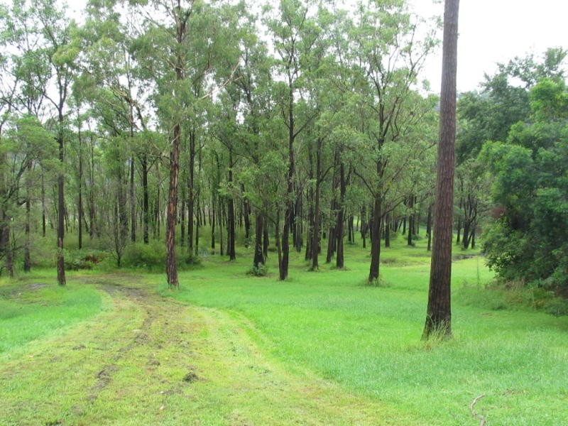 901 Singleton Road, Laughtondale NSW 2775