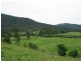 238 Wollombi Road, St Albans NSW 2775