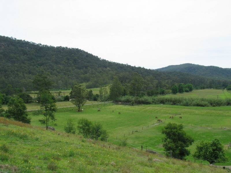 238 Wollombi Road, St Albans NSW 2775