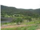 238 Wollombi Road, St Albans NSW 2775