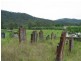 238 Wollombi Road, St Albans NSW 2775