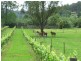 238 Wollombi Road, St Albans NSW 2775
