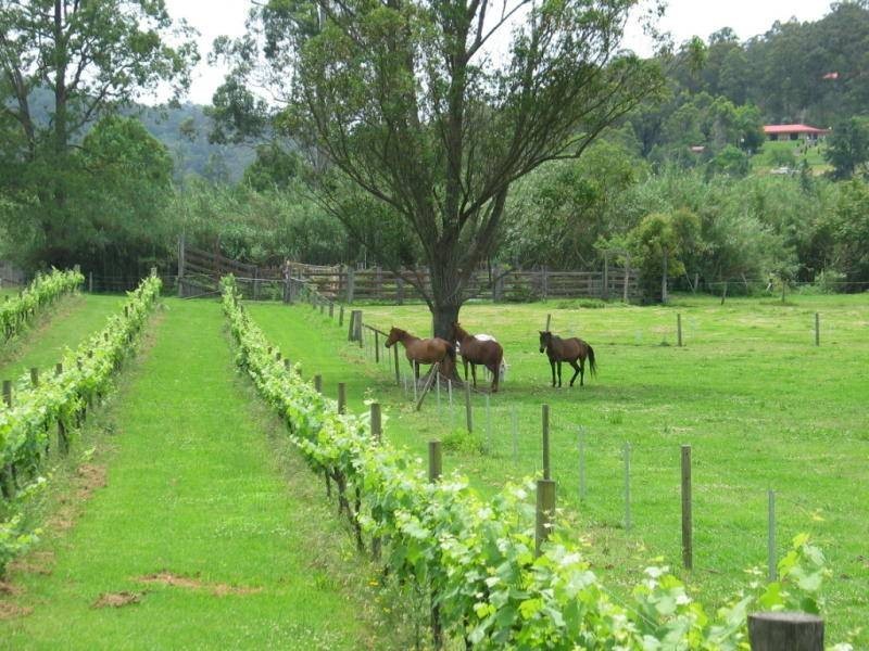 238 Wollombi Road, St Albans NSW 2775
