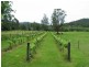 238 Wollombi Road, St Albans NSW 2775