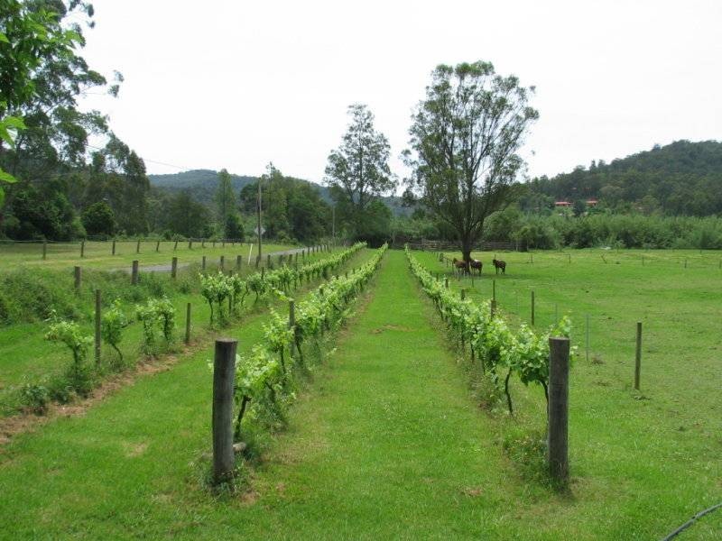 238 Wollombi Road, St Albans NSW 2775