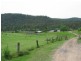 238 Wollombi Road, St Albans NSW 2775