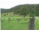 238 Wollombi Road, St Albans NSW 2775