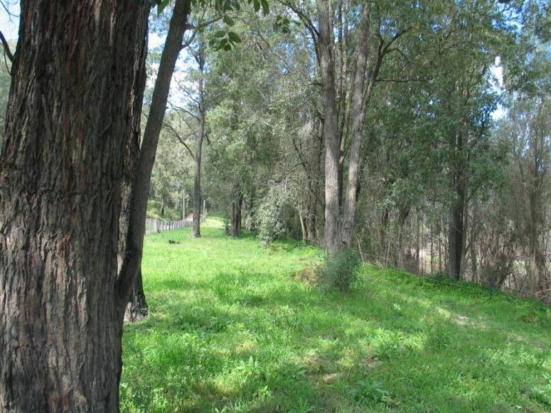 976 Upper Macdonald Road, St Albans NSW 2775