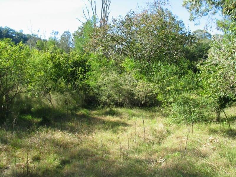 440 St Albans Road, Lower Macdonald NSW 2775