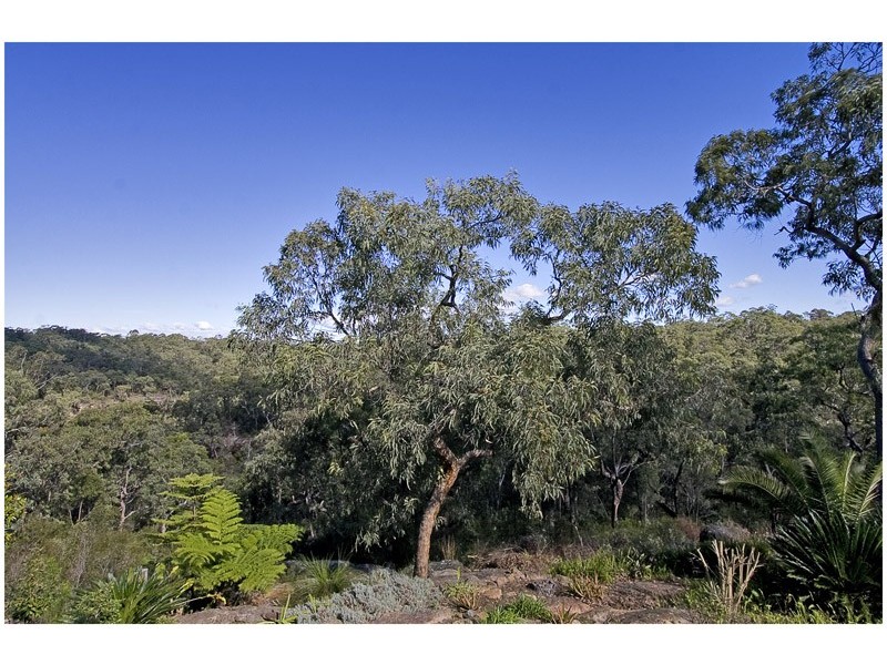 Blaxlands Ridge NSW 2758