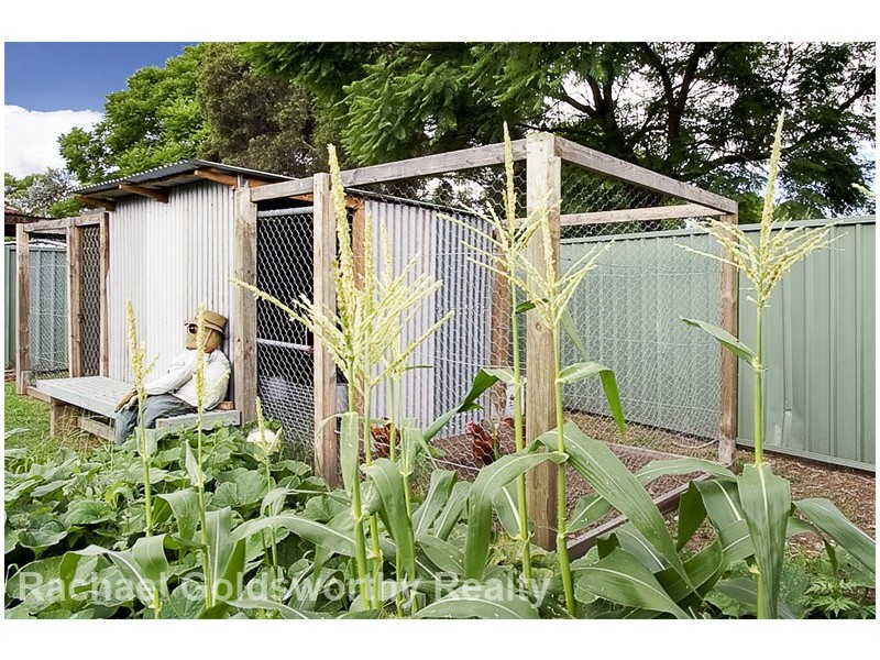 116 Lennox Street, Richmond NSW 2753