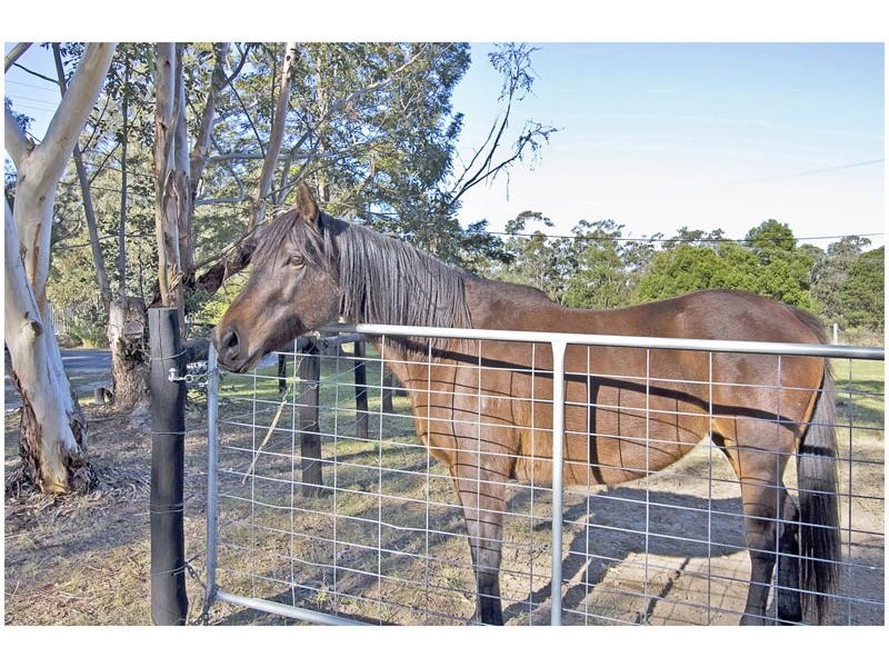 East Kurrajong NSW 2758