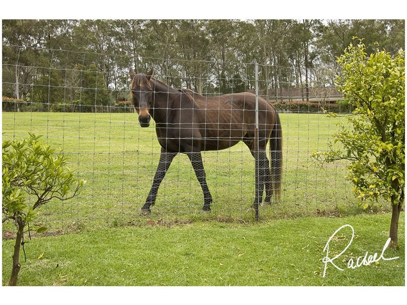 5 Threlkeld Drive, Cattai NSW 2756